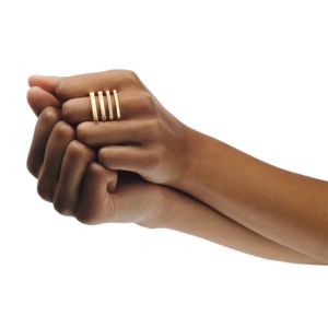 Ring Zebra Ring Zebra